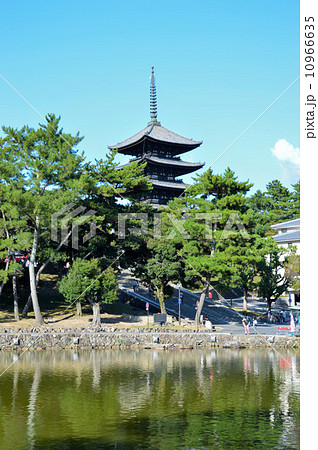 興福寺五重塔と猿沢池 興福寺五重塔と猿沢池 10966635