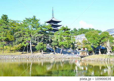 興福寺五重塔と猿沢池 10966636