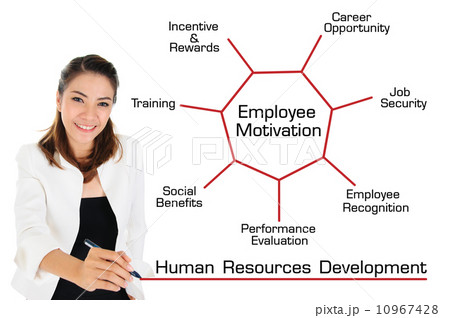Human Resources Development Concept Human Resources Development Concept 10967428