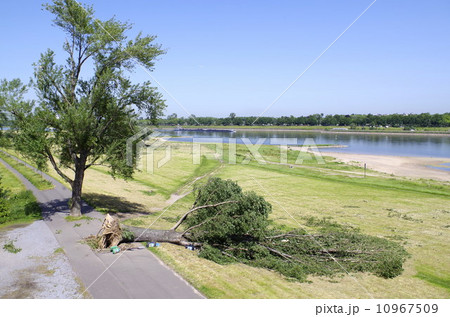 暴風雨　被害 10967509