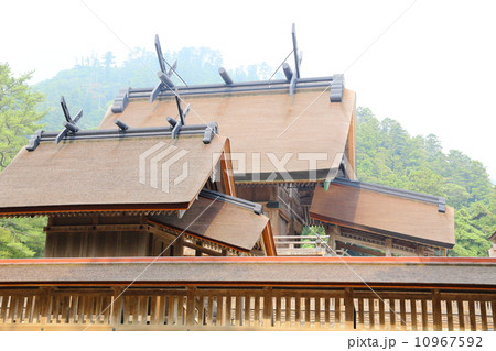 島根県:遷宮後の出雲大社 御本殿 島根県:遷宮後の出雲大社 御本殿 10967592