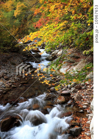 奥鬼怒の紅葉と鬼怒川源流の写真素材