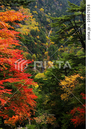 奥鬼怒の紅葉とオロオソロシの滝の写真素材