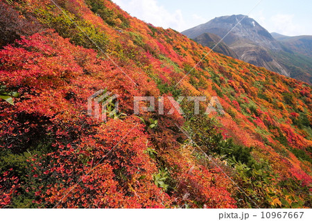 那須連峰・紅葉の熊見曽根から見る茶臼岳 那須連峰・紅葉の熊見曽根から見る茶臼岳 10967667