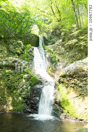 奥多摩・海沢渓谷 10967762