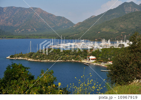 Yacht marina 10967919