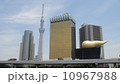 スカイツリー 10967988