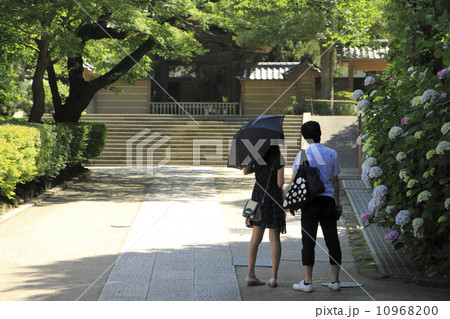 円覚寺の夏 円覚寺の夏 10968200