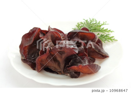 生キクラゲ 10968647