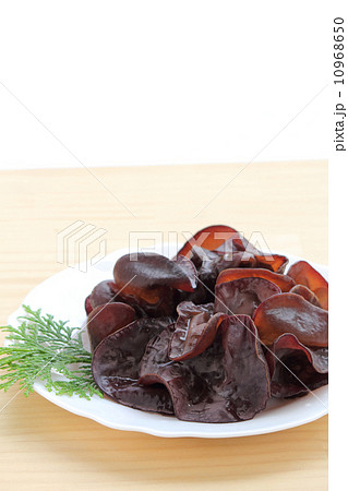 生キクラゲ 10968650