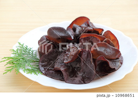 生キクラゲ 生キクラゲ 10968651