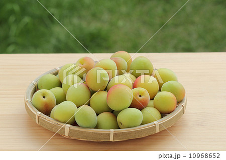 梅の実　紅さし 10968652