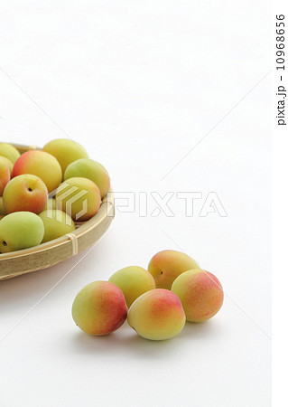 梅の実　紅さし 10968656