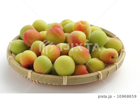 梅の実　紅さし 10968659