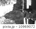 アンコール遺跡　バンテアイ・クデイ 10969072