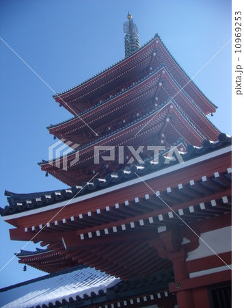 五重塔 10969253