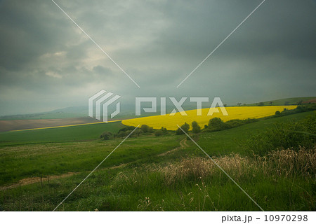 Yellow cone field 10970298