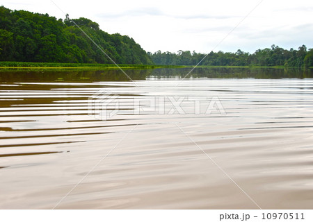 スカウ川（東マレーシア･ボルネオ島） 10970511