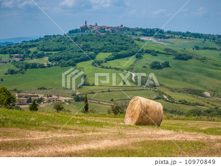 typical tuscan landscape 10970849