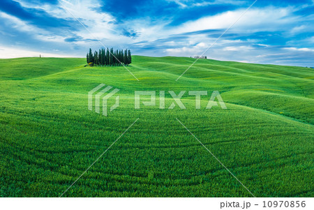 typical tuscan landscape typical tuscan landscape 10970856