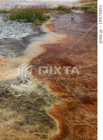 Grand prismatic hot spring Grand prismatic hot spring 10970901