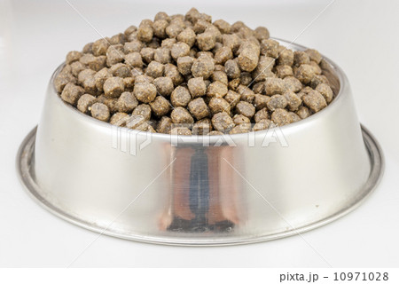 dogs food 10971028
