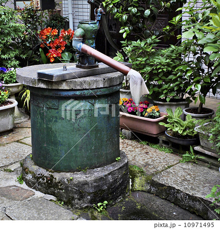 一葉の井戸 10971495