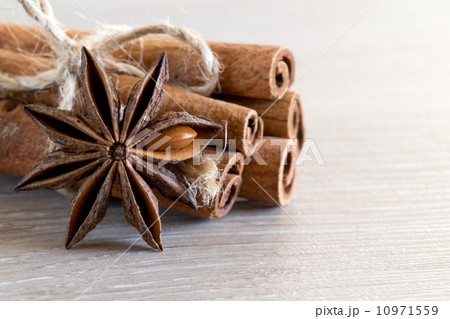 anise and cinnamon 10971559