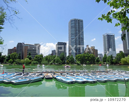 不忍池（ボート乗り場）(東京都台東区上野公園） 10972270