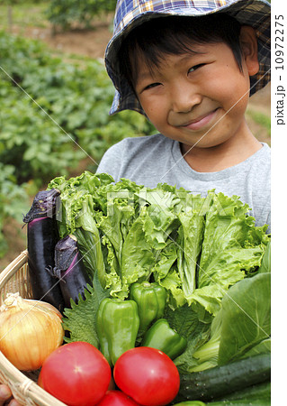 スローライフ 10972275