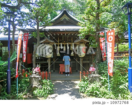 花園稲荷神社(東京都台東区上野公園) 花園稲荷神社(東京都台東区上野公園) 10972768