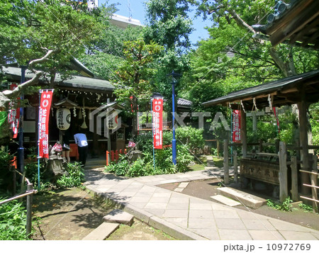花園稲荷神社(東京都台東区上野公園) 花園稲荷神社(東京都台東区上野公園) 10972769