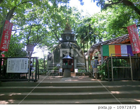 大仏パゴダ(東京都台東区上野公園） 10972875