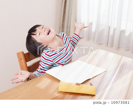 勉強する小学生 10973081