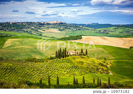 Tuscany at spring 10973182