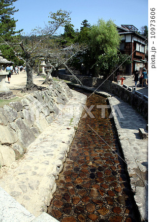 石畳の水路 10973606