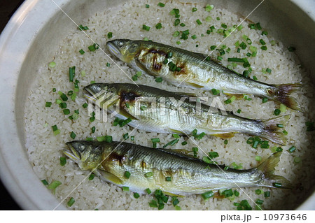 鮎飯 鮎飯 10973646