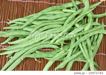 インゲン豆 10973783
