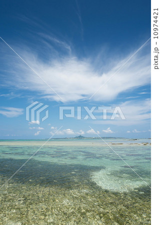 沖縄の海　備瀬海岸 10974421