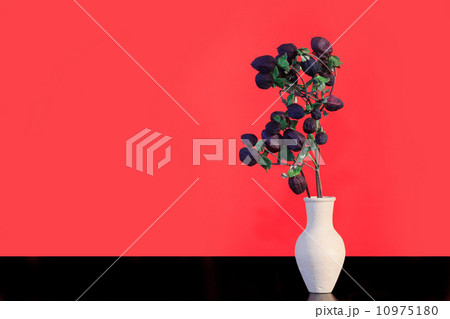 Flower On Red 10975180