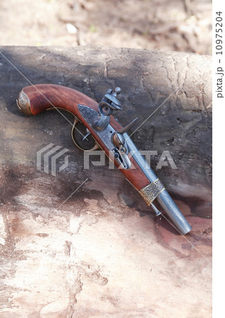 Old Pistol 10975204