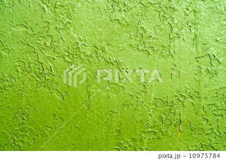 Grunge Green Paint 10975784