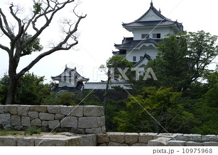 伊賀上野城 伊賀上野城 10975968