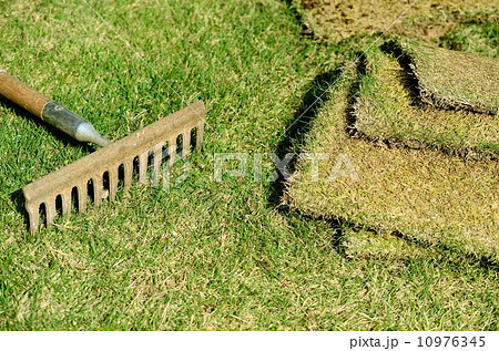 ガーデニング ガーデニング 10976345