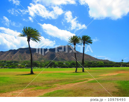Diamond head 10976493