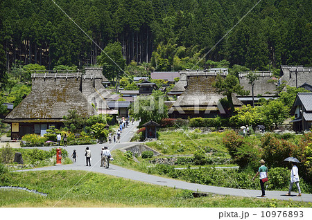 京都美山 かやぶきの里 京都美山 かやぶきの里 10976893