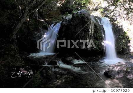 長野県　佐久穂町　古谷渓谷の乙女の滝 10977029