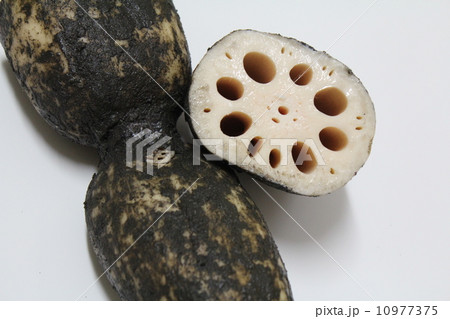 岩国蓮根 岩国蓮根 10977375