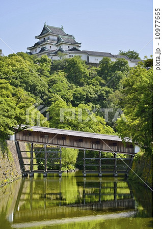 和歌山城　天守閣　御橋廊下 10977665