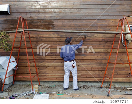 壁にペンキを塗る人 10977714
